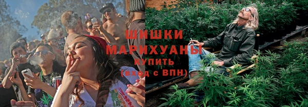 ПСИЛОЦИБИНОВЫЕ ГРИБЫ Костерёво