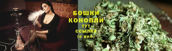 ПСИЛОЦИБИНОВЫЕ ГРИБЫ Костерёво